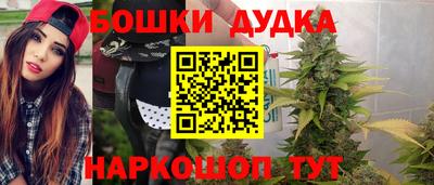 крисы Мариинск