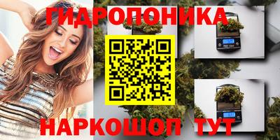 крисы Мариинск