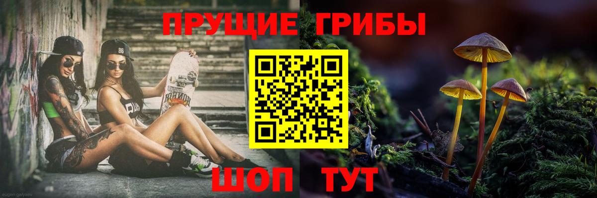 наркота  Галлюциногенные грибы Psilocybine cubensis  Вход с VPN  Югорск 